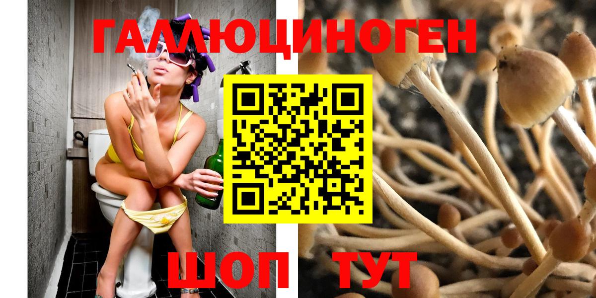 Псилоцибиновые грибы ЛСД Мегион