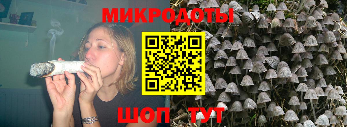Галлюциногенные грибы Magic Shrooms  Псилоцибиновые грибы Psilocybe  Мегион  Вход с VPN 